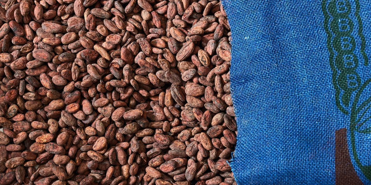 How To Use Your Raw Cacao Beans